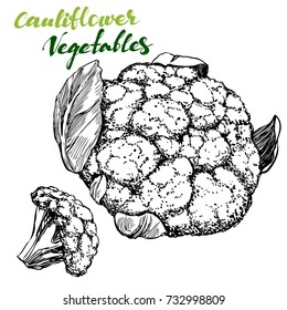 cauliflower  vegetable set. Detailed engraved. Vintage hand drawn vector illustration realistic sketch