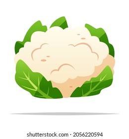 Vector vegetal cauliflor, ilustración aislada