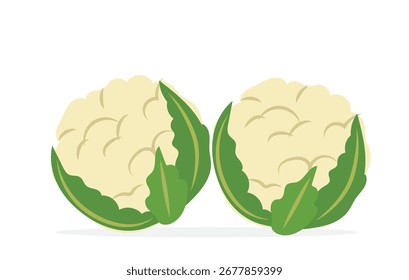 Blumenkohl Gemüse flache Vektorgrafik 