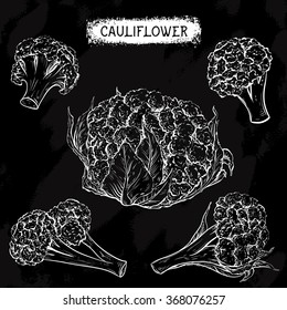 Cauliflower. Vintage collection of cauliflower in different angles on chalkboard. Isolated elements. Black and white hand drawn vector illustration