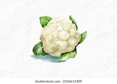 Blumengemüse, Kohl, gesundes Essen, Gemüse, Vektorgrafik