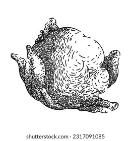 cauliflower white organic hand drawn. food fresh, vegan cabbage, vegetable raw, vector bowl, cut green cauliflower white organic vector sketch. isolated black illustration