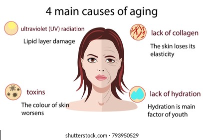 Causes of aging, vector illustration isolated on the white background