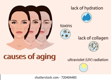 Causes of aging, vector illustration with two faces and small pictures