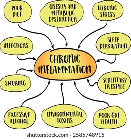 Causes of chronic inflammation, body prolonged immune response to stressors such as poor diet, lack of exercise, environmental toxins, and infections. Infographics sketch.