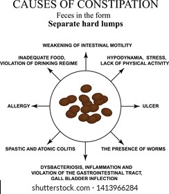 Causes of constipation. Sheep feces Infographics. Vector illustration on isolated background.