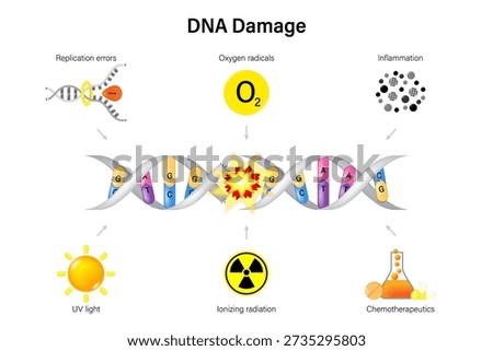 Causes of DNA Damage. DNA Damaging Agents. Replication errors, oxygen radicals, inflamation, UV light, ionizing radiation and chemotherapeutics.