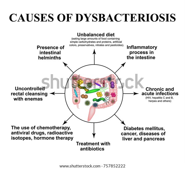 Causes Dysbiosis Intestines Colon Bacteria 600w 757852222 