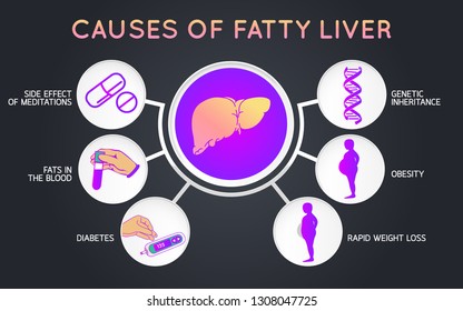 Causes Of Fatty Liver Logo Icon Design, Medical Vector Illustration