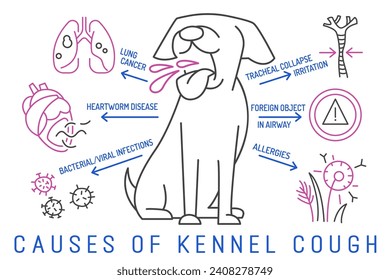 Causes of kennel cough in dogs. Dog diseases concept. Veterinarian infographics. Landscape poster, horizontal banner. Editable vector illustration in a linear style isolated on a white background
