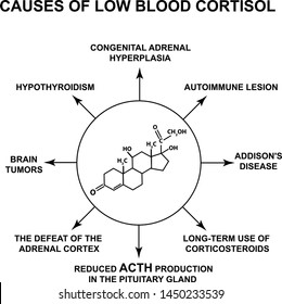 Causes Of Low Blood Cortisol. The Stress Hormone Cortisol Is A Chemical Molecular Formula. Infographics. Vector Illustration On Isolated Background.