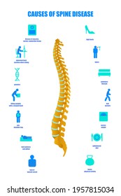 Causes of the spine disease. A set of icons on the topic of posture disorders. Medical infographics on the topic of scoliosis, lordosis, kyphosis