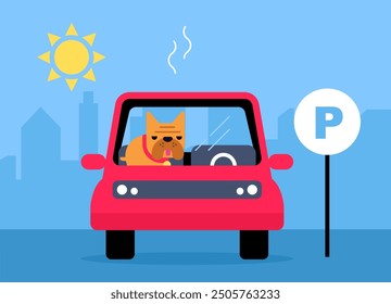 Precaución: no hay perros dentro de un coche caliente o estacionamiento al sol.