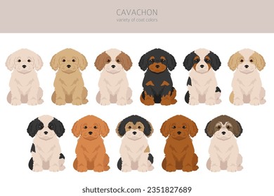 Cavachon clipart. Cavalier King Charles Spaniel Bichon Frise mix. Colores de abrigo diferentes.  Ilustración del vector