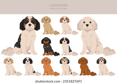 Cavachon clipart. Cavalier King Charles Spaniel Bichon Frise mix. Colores de abrigo diferentes.  Ilustración del vector