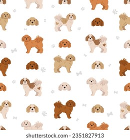 Cavachon seamless pattern. Cavalier King Charles Spaniel Bichon Frise mix. Different coat colors set.  Vector illustration