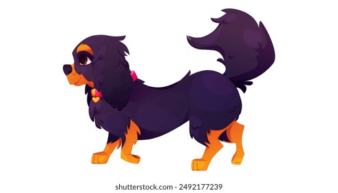 Cavalier charles king spaniel dog isolated cartoon. Black and brown nice running purebred pet character. Popular cute walking english puppy side with red collar and gold heart smiling clipart.