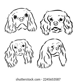 Cavalier King Charles Dog Vector Image Silhouette