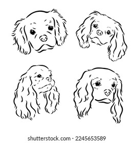 Cavalier King Charles Dog Vector Image Silhouette