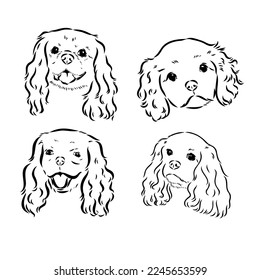 Cavalier King Charles Dog Vector Image Silhouette