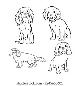 Cavalier King Charles Dog Vector Image Silhouette
