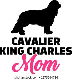 Cavalier King Charles mom pink