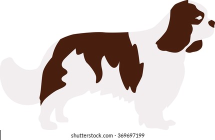 Cavalier king charles spaniel