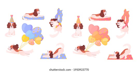 cavalier king charles spaniel character two big set, cute puppy in different poses, birthday party, grooming, dog in bed, vector illustration in cartoon style