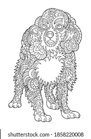 Cavalier king charles spaniel coloring page for adult and children. Creative dog for coloring book design. Black and white vector illustration.