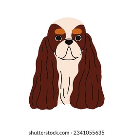 Cavalier King Charles Spaniel, linda cabeza de perro. Retrato canino de cara, avatar. Adorable y divertido bozal de garabatos. cachorro británico, hocico de cachorro de compañía. Ilustración vectorial plana aislada en fondo blanco