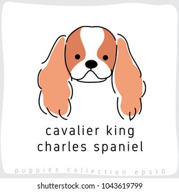 Cavalier King Charles Spaniel : Dog Breed Collection : Vector Illustration