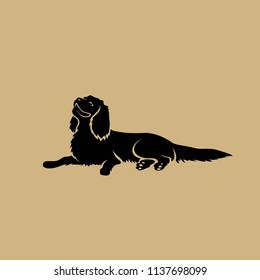 Cavalier King Charles Spaniel dog - isolated vector illustration