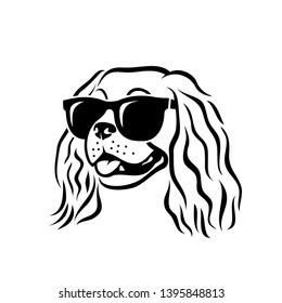 Cavalier King Charles Spaniel dog wearing sunglasses - isolated vector illustration