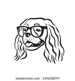 Cavalier King Charles Spaniel dog wearing eyeglasses - isolated vector illustration
