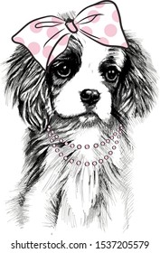 Cavalier King Charles Spaniel dog with bow & beads vector illustration