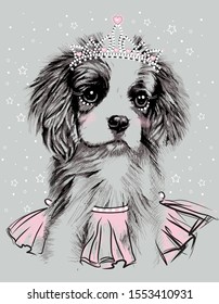 Cavalier King Charles Spaniel dog spakle like a princess in  tiara & fluffy skirt vector illustration print for t shirt for girls