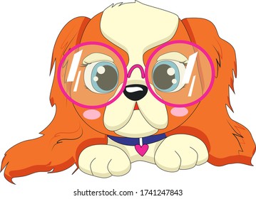 Cavalier King Charles Spaniel Dog in a pink sunglasses. Vector illustration.