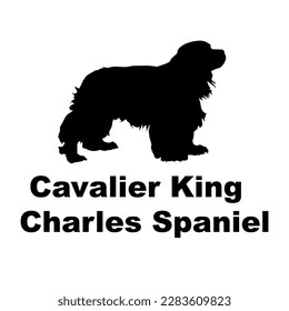  cavalier king charles spaniel perro silueta razas de perros