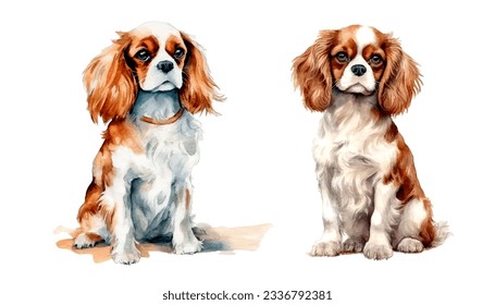 Cavalier King Charles Spaniel Dog Watercolor Painting Illustration Isolated on White Background