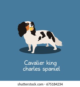 Cavalier king charles spaniel dog illustration design