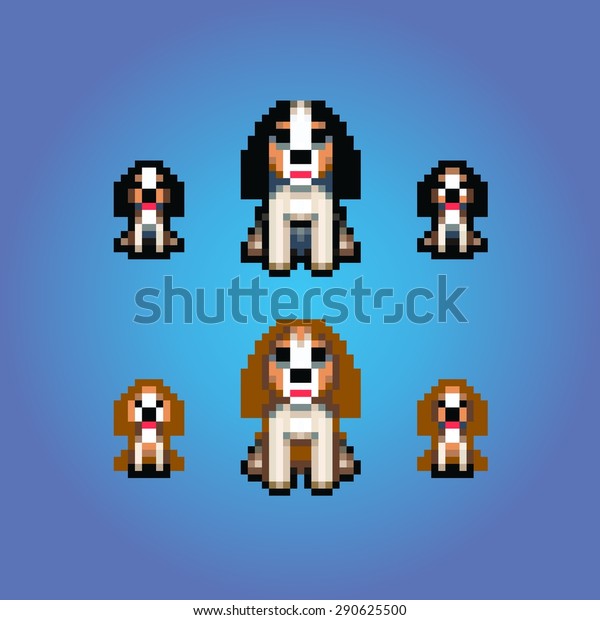 dog injection