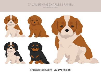 Cavalier King Charles Spaniel puppies clipart. All coat colors set.  Different position. All dog breeds characteristics infographic. Vector illustration