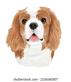 a cavalier king charles spaniel puppy cute dog vector art