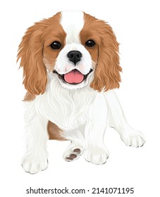 Cavalier king Charles spaniel puppy vector art cute dog smiling