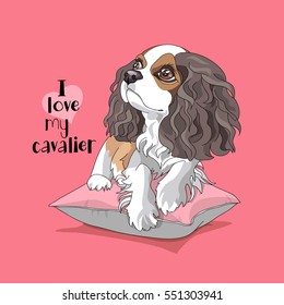 Cavalier King Charles Spaniel Puppy on a pink pillow. Vector illustration.