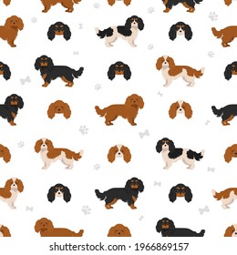 Cavalier King Charles spaniel seamless pattern.  Different poses, coat colors set.  Vector illustration