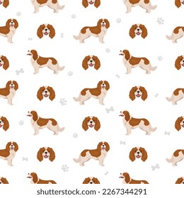 Cavalier King Charles Spaniel seamless pattern. Vector illustration