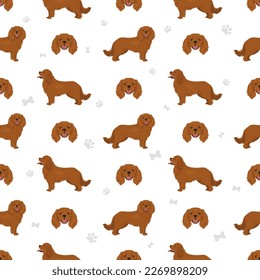 Cavalier King Charles Spaniel seamless pattern. Vector illustration