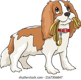 Cavalier King Charles spaniel standing with leash in mouth drawing vector illustration dog