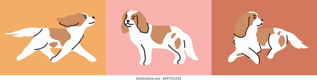 Cavalier King Charles Spaniel in various poses on colored backgrounds. Hand drawn illustrations in simple flat cartoon style. Isolated elements.